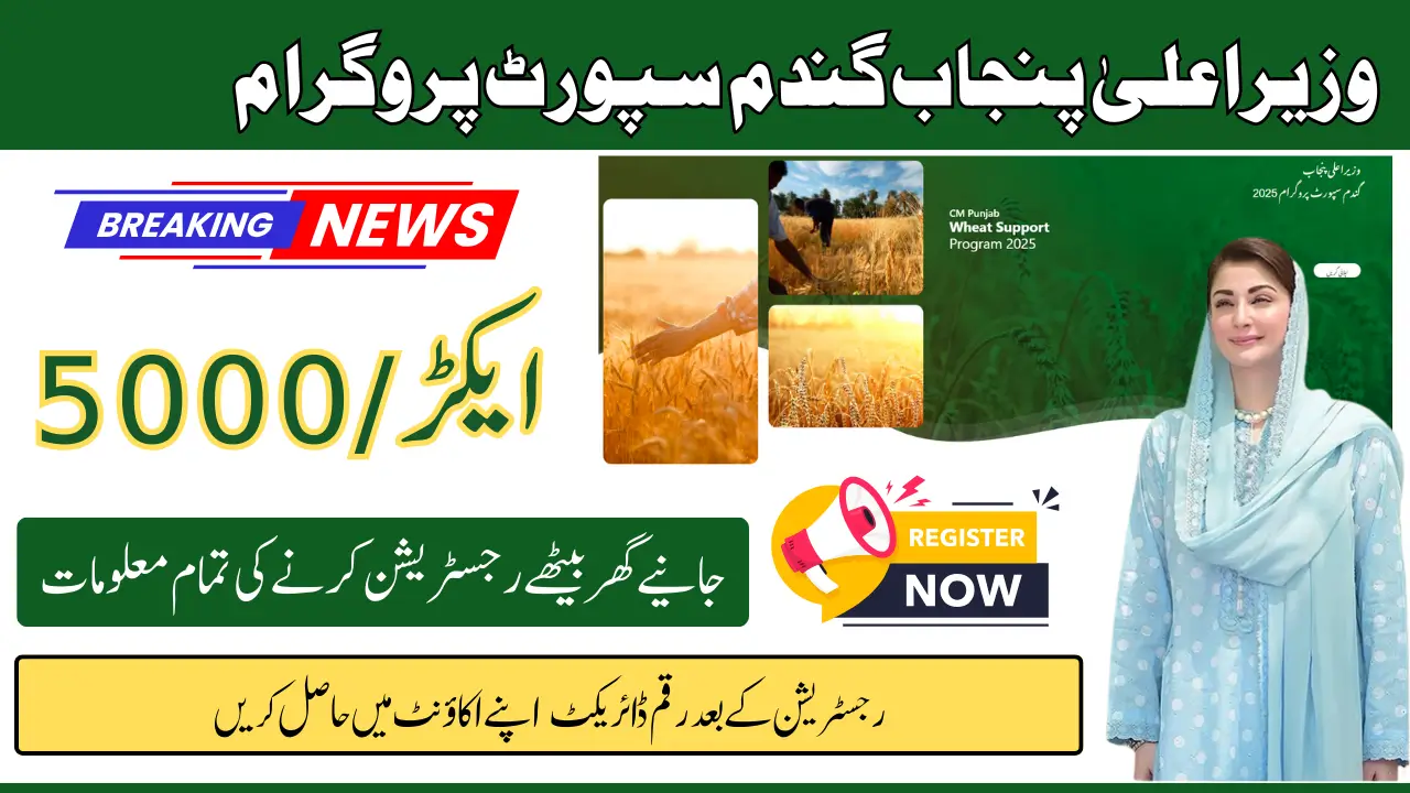 Punjab Wheat Support Program 2025 For 5000 Per Acre Know Complete Details